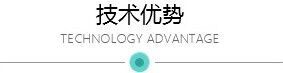 技術優勢